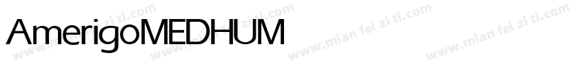 Amerigo MEDHU Medium字体转换